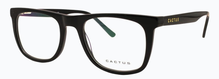 Cactus Charm