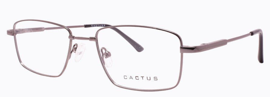Cactus 1301