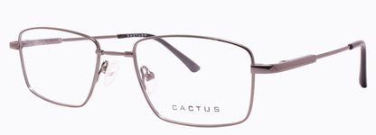 Cactus 1301