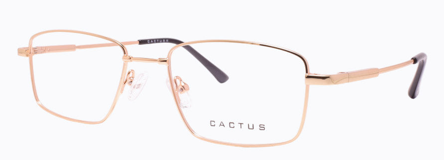 Cactus 1301