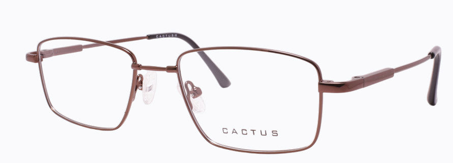 Cactus 1301