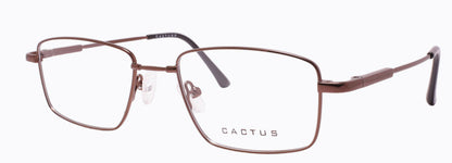 Cactus 1301
