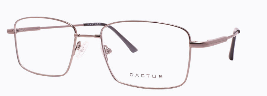 Cactus 1302