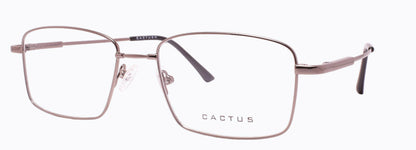 Cactus 1302