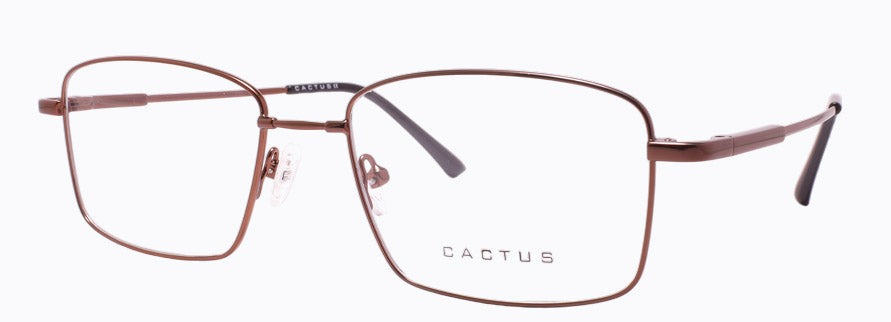Cactus 1302