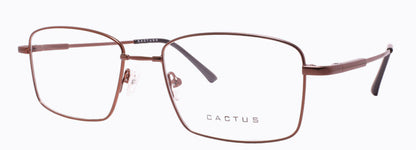 Cactus 1302