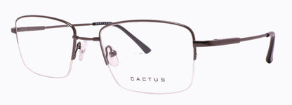 Cactus 1303