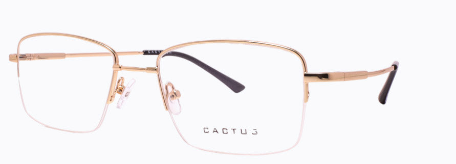 Cactus 1303