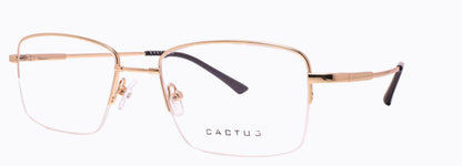 Cactus 1303