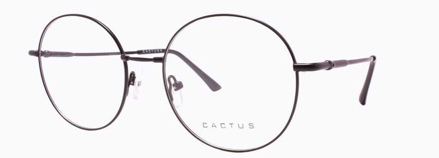 Cactus 1306