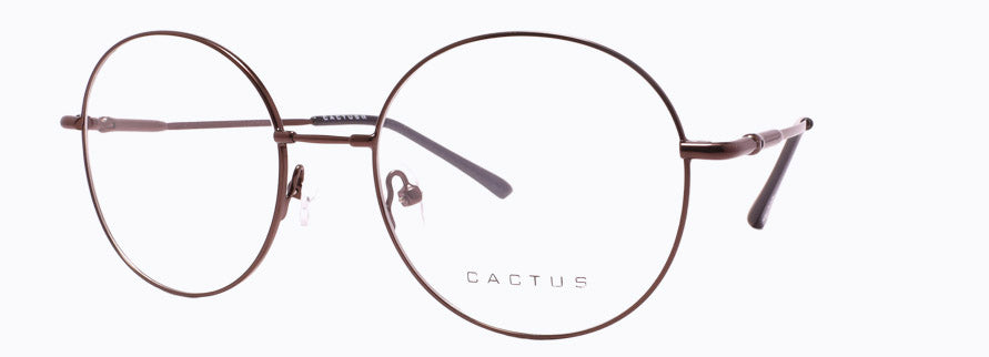 Cactus 1306