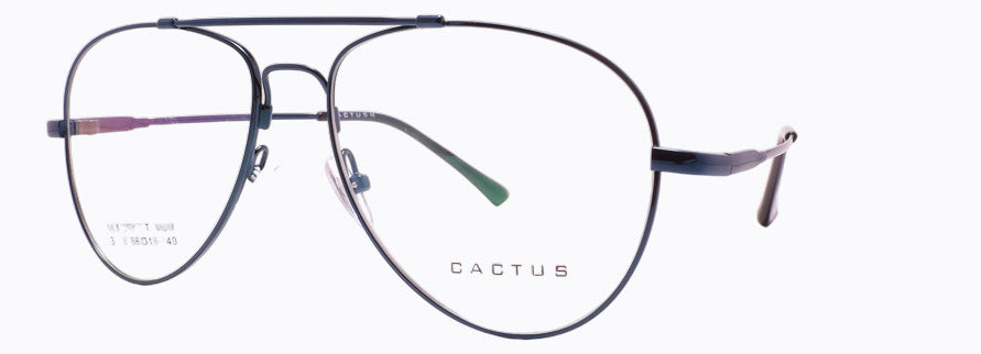 Cactus 3028