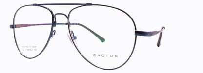 Cactus 3028