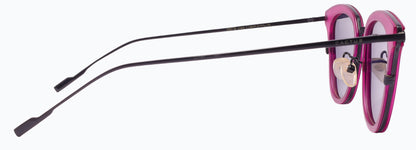 Cactus 58078