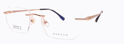 Cactus 63032
