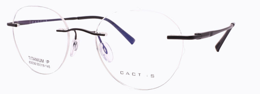 Cactus 63036