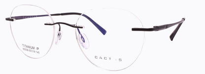 Cactus 63036