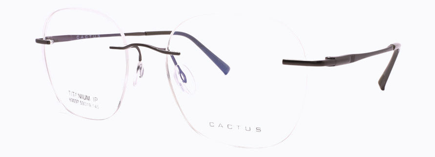 Cactus 63037