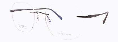 Cactus 63037