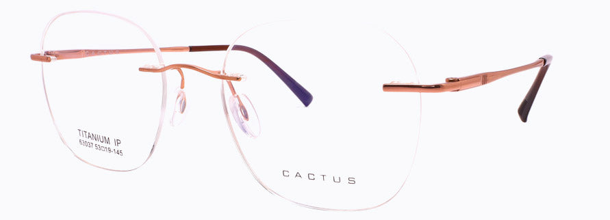 Cactus 63037