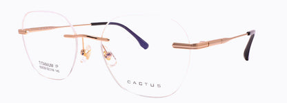 Cactus 63039