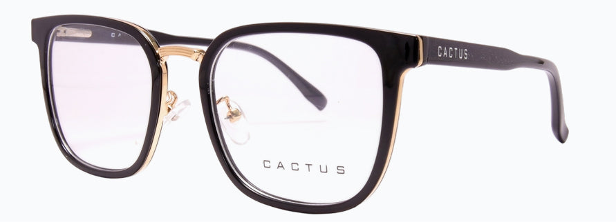Cactus 6413