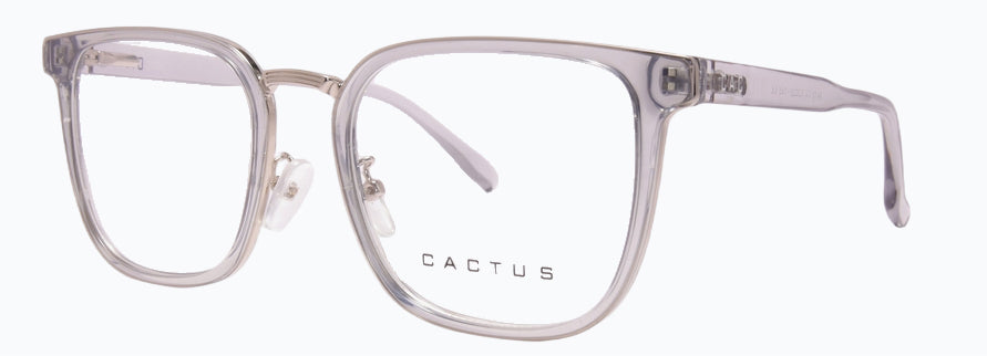 Cactus 6413