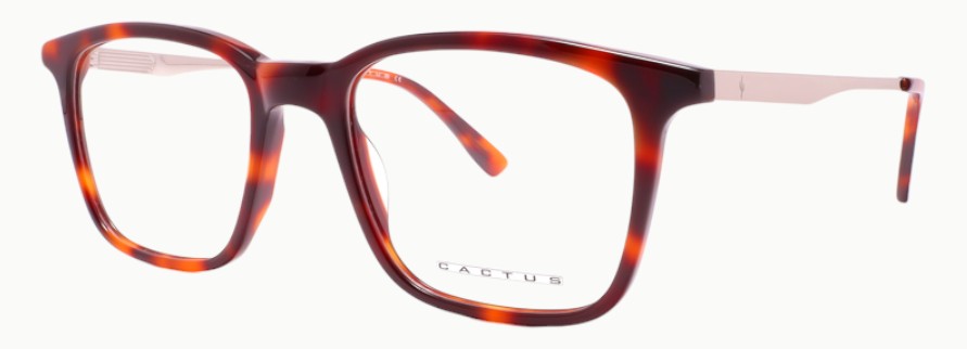 Cactus Annex — 45 Degree