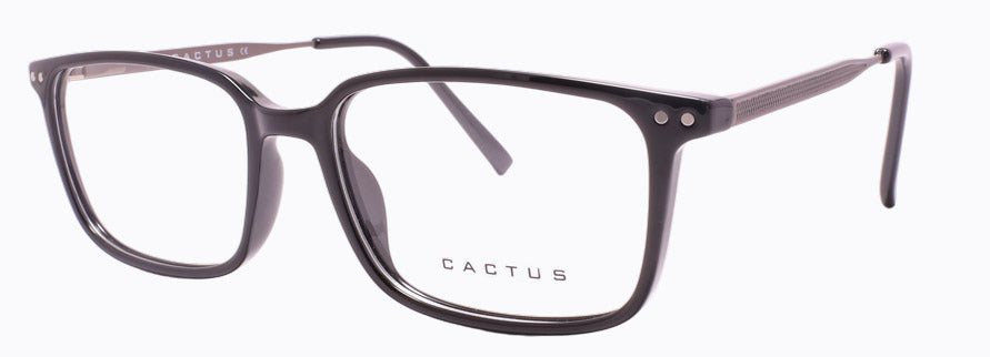 Cactus Bronzite