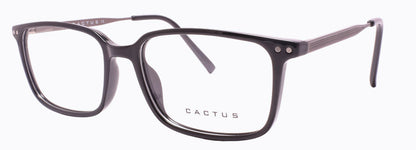 Cactus Bronzite