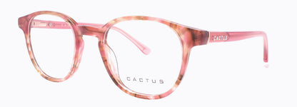 Cactus Kids Flow