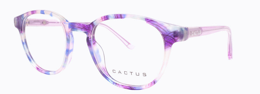 Cactus Kids Flow