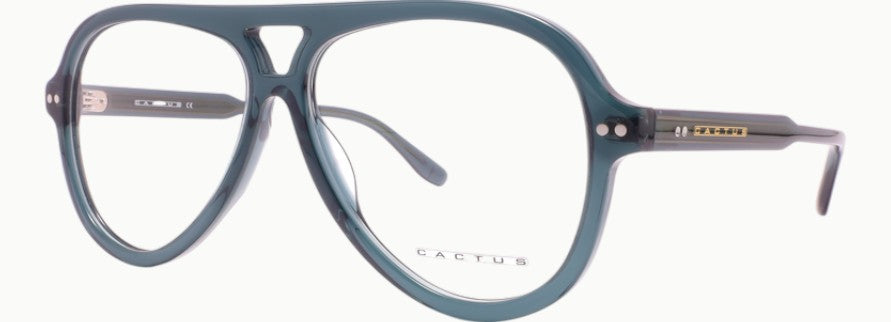Cactus Gramercy — 45 Degree