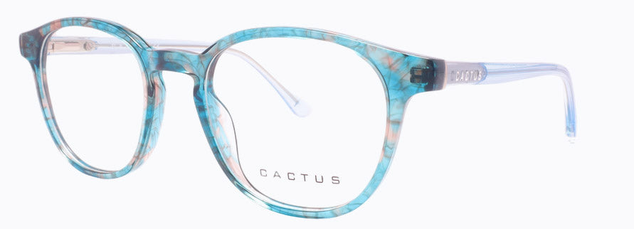 Cactus Kids Inland