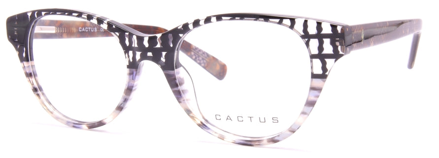 Cactus Oa463-4