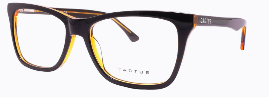 Cactus RDR5228F