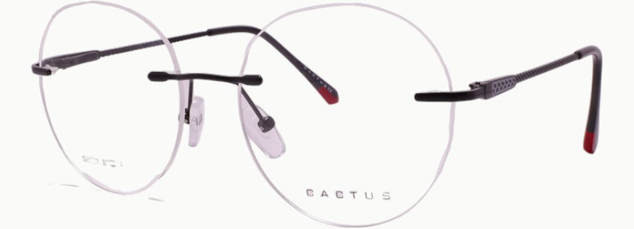 Cactus S8001 — 45 Degree