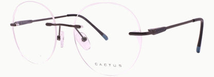 Cactus S8001 — 45 Degree