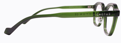 Cactus Samarium