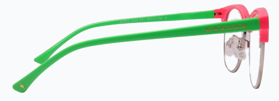 Cactus Kids ZC822