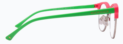 Cactus Kids ZC822