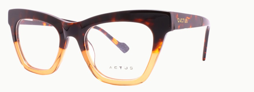 Cactus WD037