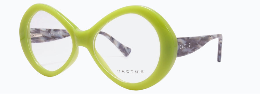 Cactus YC30022