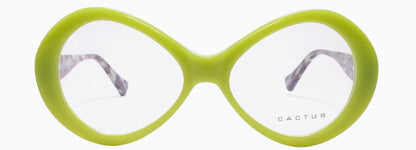 Cactus YC30022