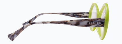 Cactus YC30022
