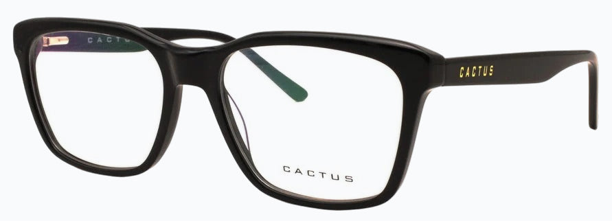 Cactus Curiosity