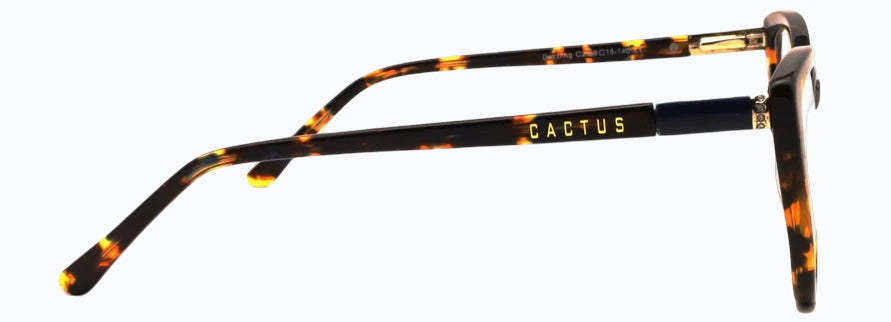 Cactus Dazzling