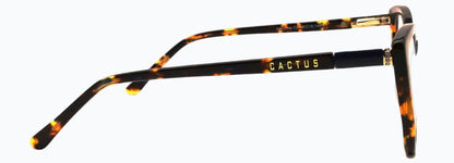 Cactus Dazzling