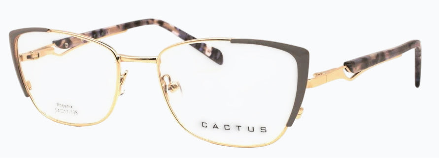 Cactus Phoenix