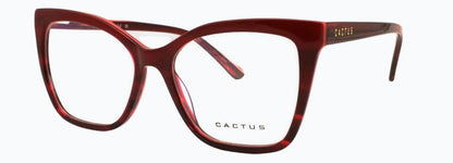 Cactus Solstice